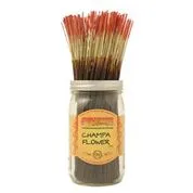 Champa Flower Wild Berry Incense Sticks