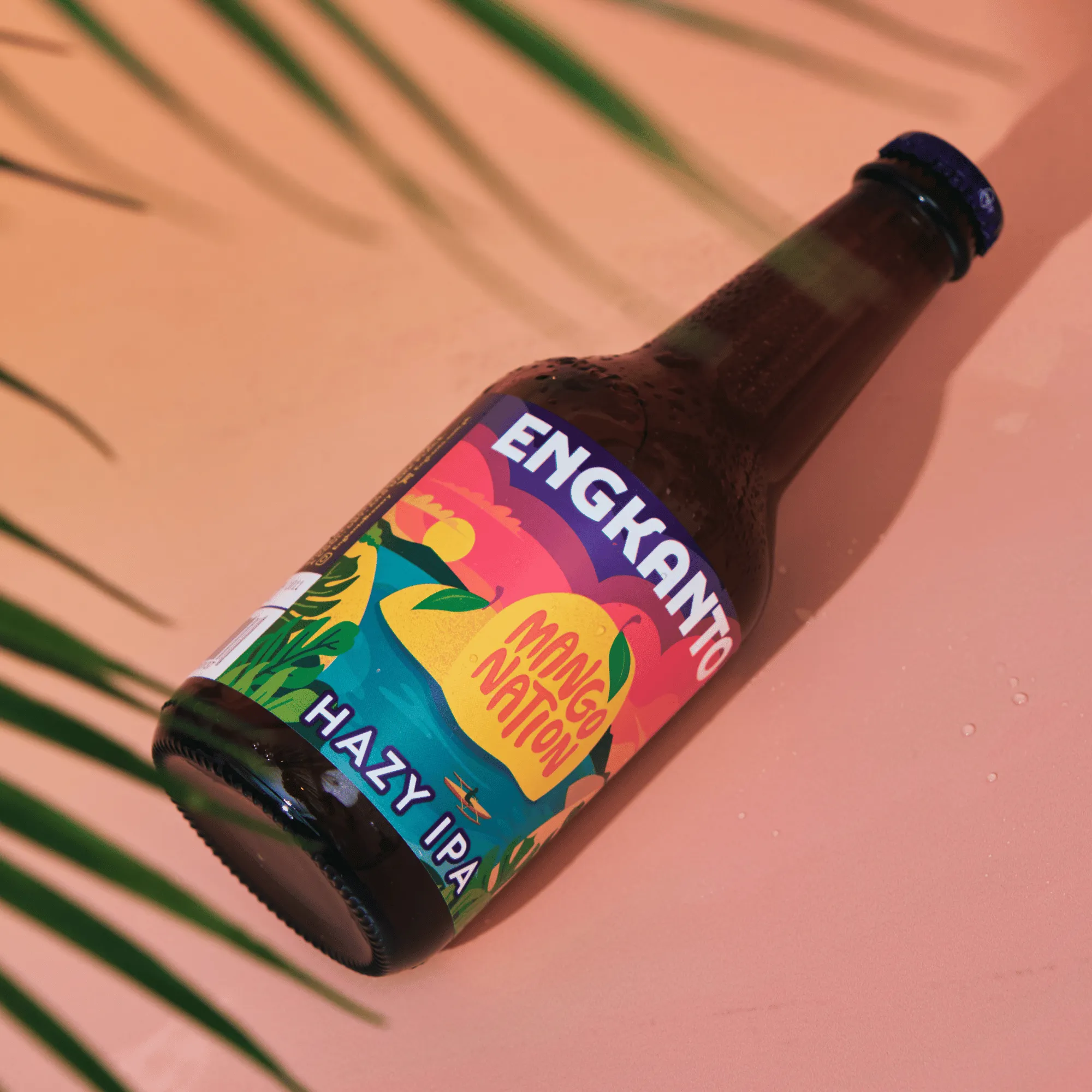 HAZY IPA