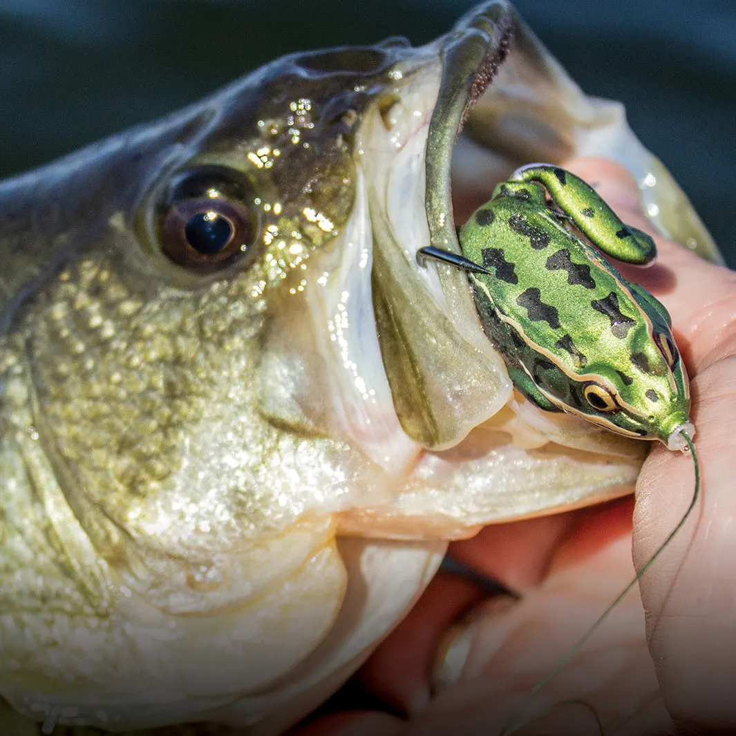 Lunker Frog