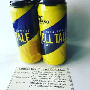 Mast Landing DDH Tell Tale
