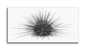 Monochrome Burst: Abstract Spiked Energy