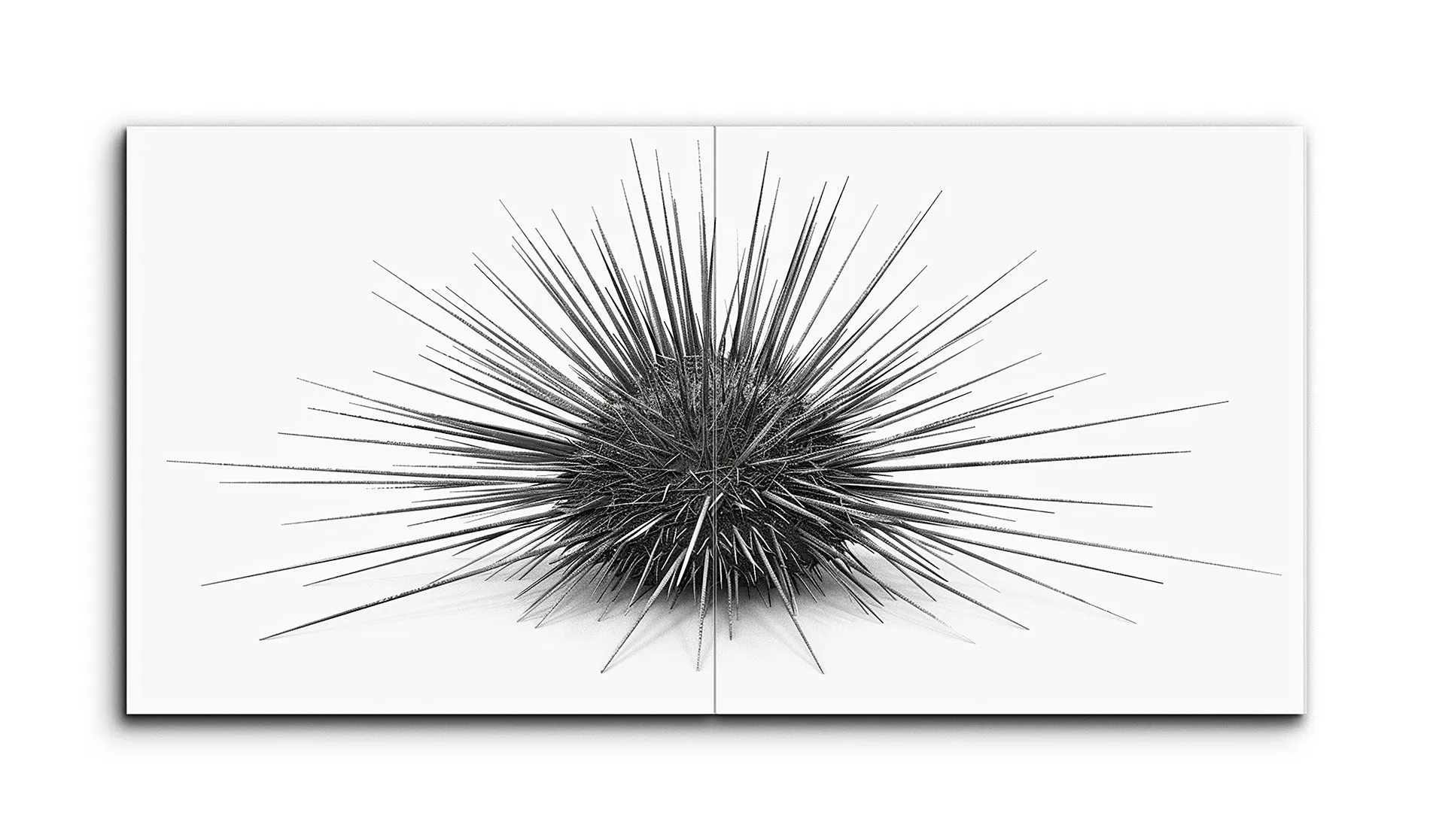 Monochrome Burst: Abstract Spiked Energy
