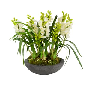 ORCHID CYMBIDIUM IN PLANTER 27"