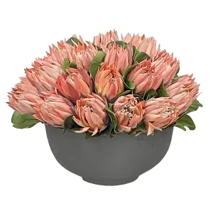 Pink Protea in Bowl 18''