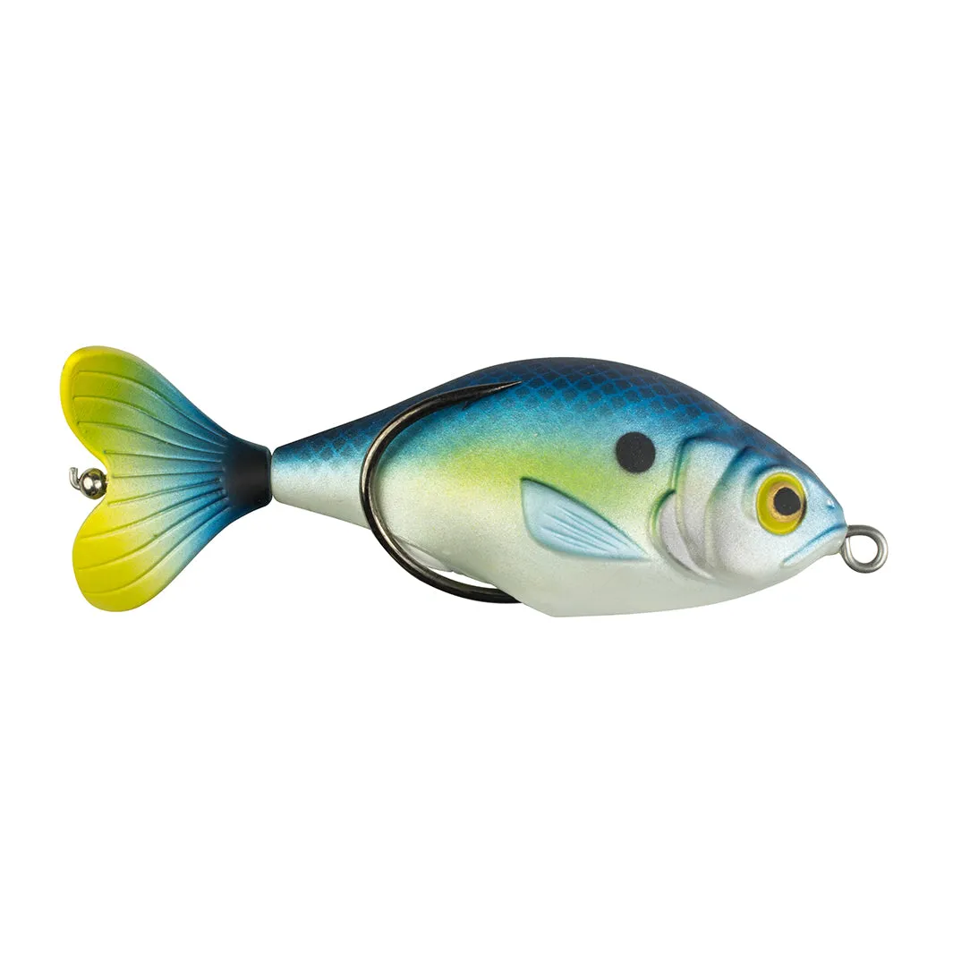 Propfish Shad