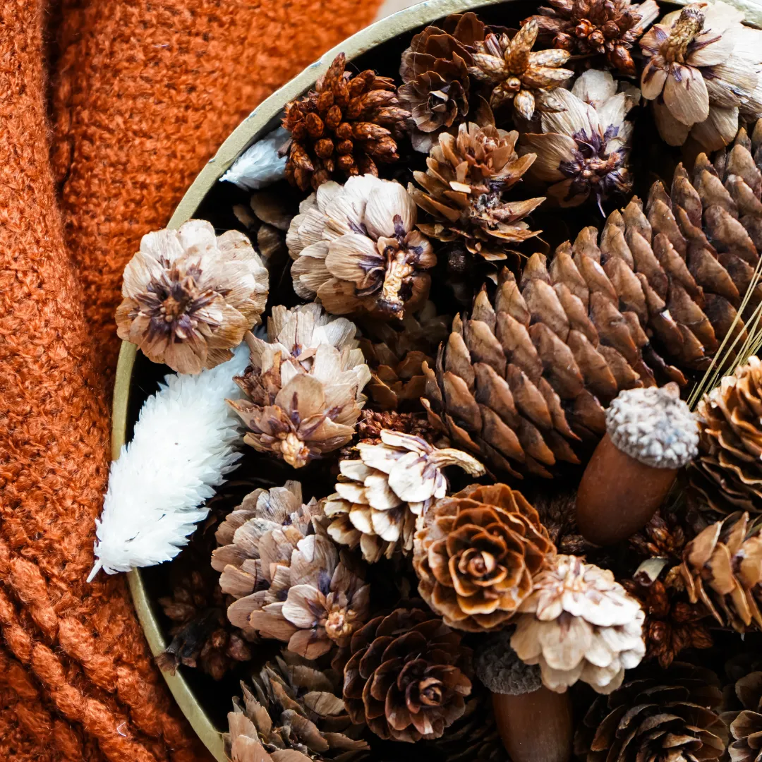 Pumpkin Spice 100% Natural Potpourri