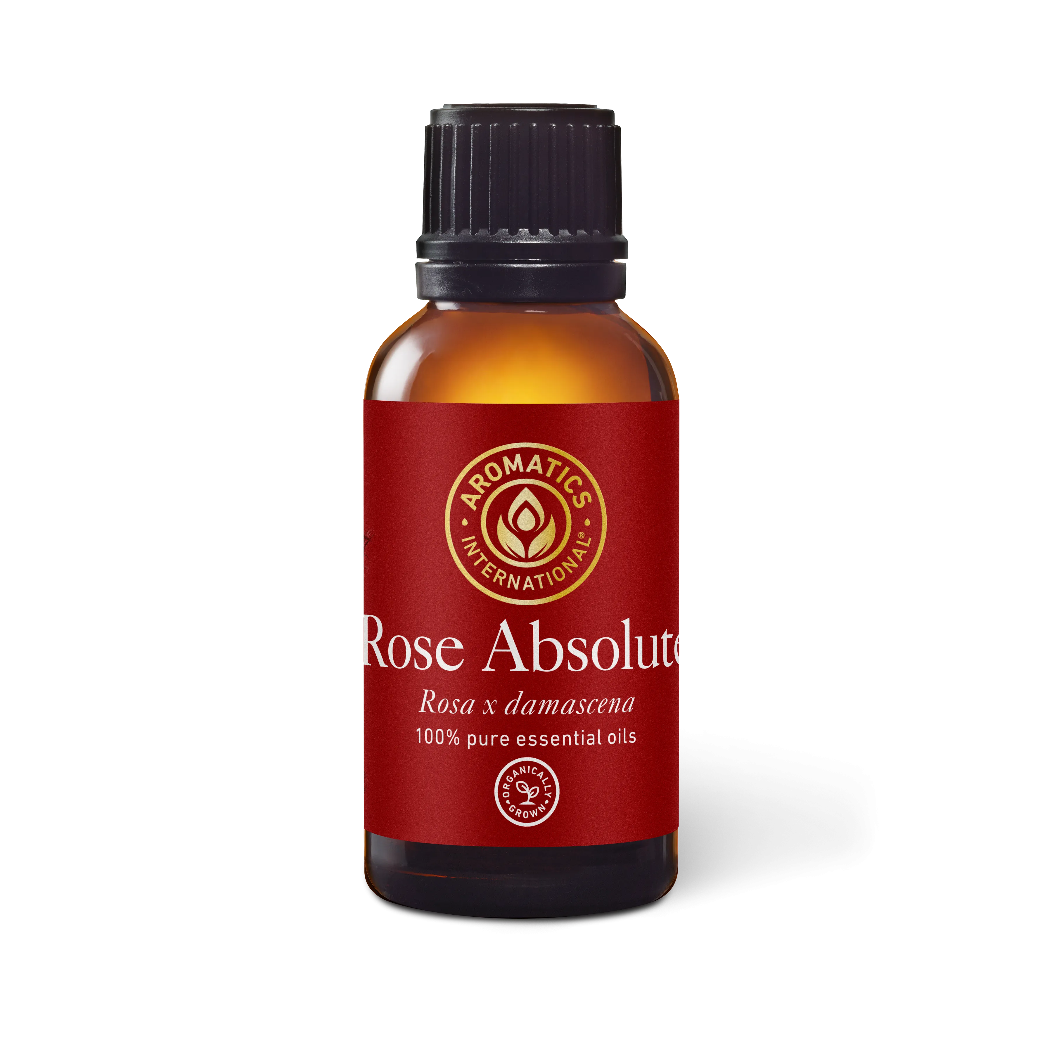 Rose Absolute Essential Oil