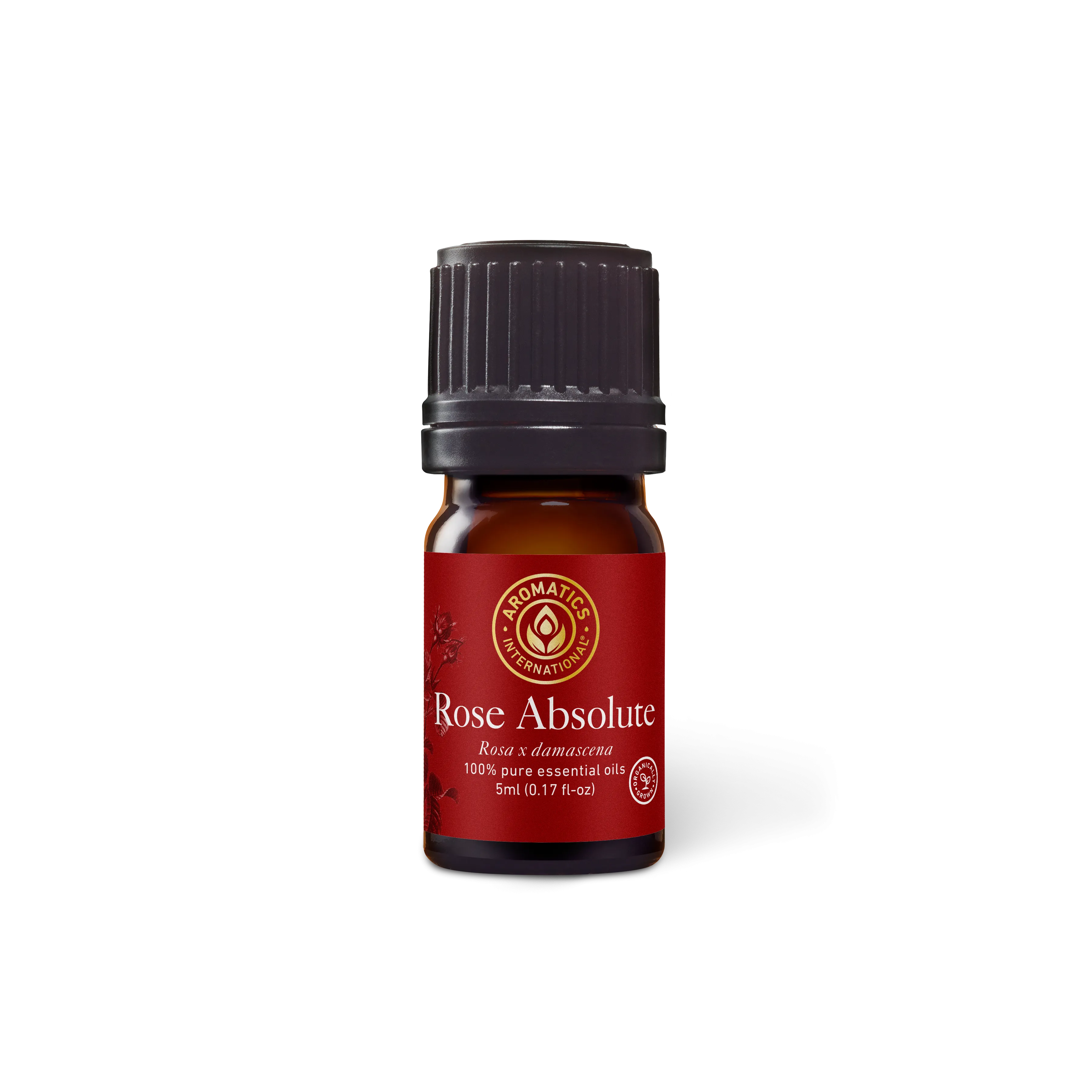 Rose Absolute Essential Oil