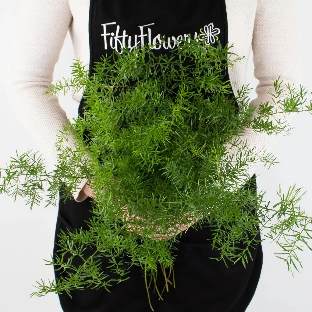 Springeri Green Filler